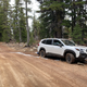 Image for article titled The 2022 Subaru Forester Wilderness Is An Off-Road Adventure Underdog